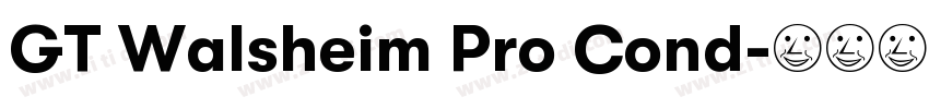 GT Walsheim Pro Cond字体转换